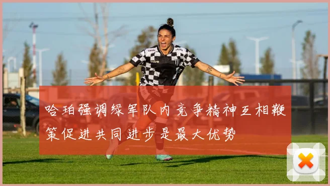 哈珀强调绿军队内竞争精神互相鞭策促进共同进步是最大优势