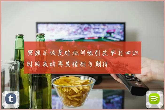 樊振东恢复对抗训练引发单打回归时间表的再度猜测与期待
