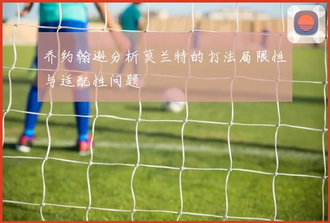乔约翰逊分析莫兰特的打法局限性与适配性问题