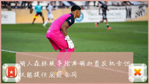 湖人森林狼争抢库明加首发机会但仅能提供底薪合同